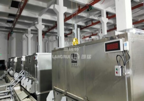 Taikang County Guoyuan Food Development Co., Ltd Guazi/Peanut Production Line